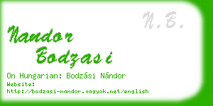 nandor bodzasi business card